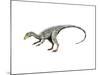 Compsognathus Dinosaur-null-Mounted Art Print