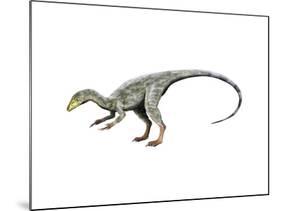 Compsognathus Dinosaur-null-Mounted Art Print