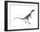 Compsognathus Dinosaur-Stocktrek Images-Framed Art Print