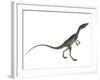 Compsognathus Dinosaur-Stocktrek Images-Framed Art Print