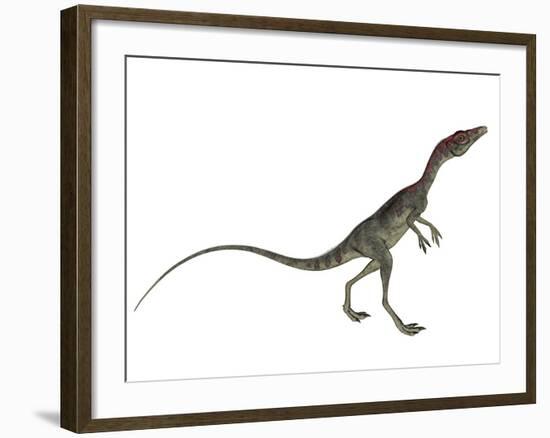 Compsognathus Dinosaur-Stocktrek Images-Framed Art Print