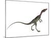 Compsognathus Dinosaur-Stocktrek Images-Mounted Art Print