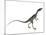 Compsognathus Dinosaur-Stocktrek Images-Mounted Art Print