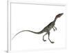 Compsognathus Dinosaur-Stocktrek Images-Framed Art Print