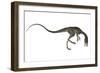 Compsognathus Dinosaur-Stocktrek Images-Framed Art Print