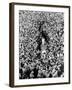 Compton and Edrich Leave the Oval Pitch, 1953-null-Framed Photographic Print