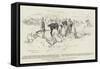 Compton's Horse Bivouacking at Kroonstad-Charles Edwin Fripp-Framed Stretched Canvas