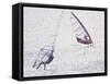 Computer Altered Image of Windsurfers-null-Framed Stretched Canvas