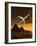 Computer Artwork of Titan's Surface And Saturn-Julian Baum-Framed Photographic Print