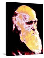 Computer Coloured Portrait of Darwin-PASIEKA-Stretched Canvas