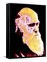 Computer Coloured Portrait of Darwin-PASIEKA-Framed Stretched Canvas