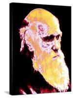 Computer Coloured Portrait of Darwin-PASIEKA-Stretched Canvas