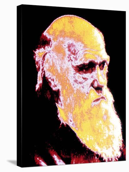 Computer Coloured Portrait of Darwin-PASIEKA-Stretched Canvas