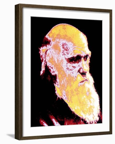 Computer Coloured Portrait of Darwin-PASIEKA-Framed Photographic Print