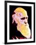 Computer Coloured Portrait of Darwin-PASIEKA-Framed Photographic Print