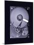 Computer Hard Disk, Simulated X-ray-Mark Sykes-Mounted Premium Photographic Print