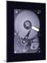 Computer Hard Disk, Simulated X-ray-Mark Sykes-Mounted Photographic Print