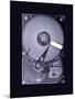 Computer Hard Disk, Simulated X-ray-Mark Sykes-Mounted Photographic Print