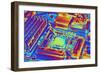 Computer Motherboard with Core I7 CPU-PASIEKA-Framed Photographic Print