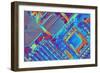 Computer Motherboard with Core I7 CPU-PASIEKA-Framed Photographic Print