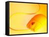 Computer Mouse in Yellow Light-null-Framed Stretched Canvas