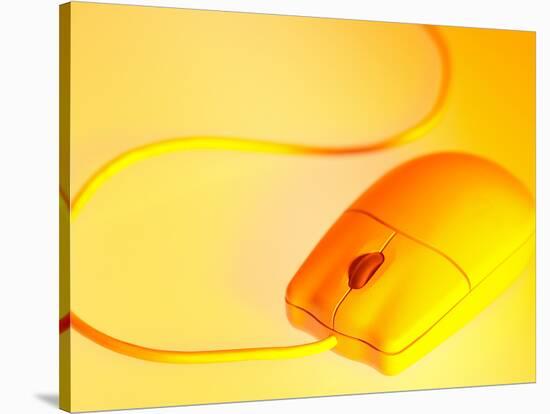 Computer Mouse in Yellow Light-null-Stretched Canvas