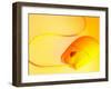 Computer Mouse in Yellow Light-null-Framed Photographic Print