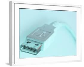 Computer Plug-null-Framed Photographic Print