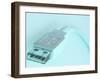 Computer Plug-null-Framed Photographic Print