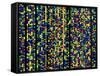 Computer Screen Showing a Human Genetic Sequence-David Parker-Framed Stretched Canvas