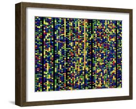 Computer Screen Showing a Human Genetic Sequence-David Parker-Framed Photographic Print