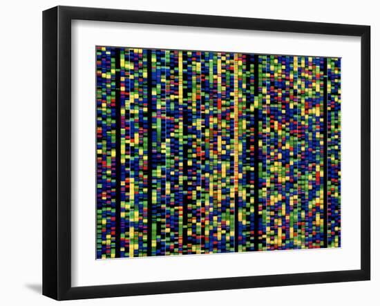 Computer Screen Showing a Human Genetic Sequence-David Parker-Framed Photographic Print