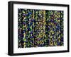 Computer Screen Showing a Human Genetic Sequence-David Parker-Framed Photographic Print