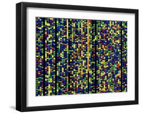 Computer Screen Showing a Human Genetic Sequence-David Parker-Framed Photographic Print