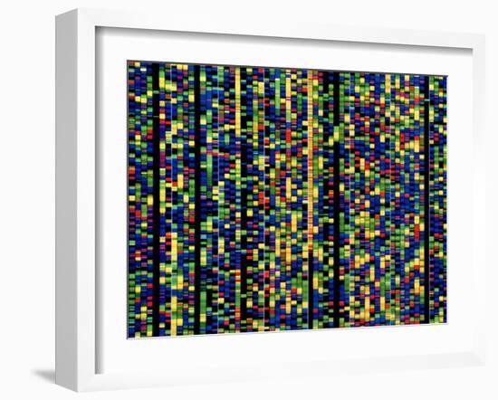 Computer Screen Showing a Human Genetic Sequence-David Parker-Framed Photographic Print