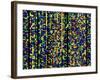 Computer Screen Showing a Human Genetic Sequence-David Parker-Framed Photographic Print