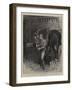 Comrades, Trumpeter Shurlock, of the 5th Lancers, and His Horse-John Charlton-Framed Giclee Print