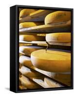 Comte Cheeses with Cheese Tester in Fort de Rousse Cheese Cellar-Joerg Lehmann-Framed Stretched Canvas