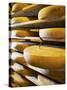 Comte Cheeses with Cheese Tester in Fort de Rousse Cheese Cellar-Joerg Lehmann-Stretched Canvas