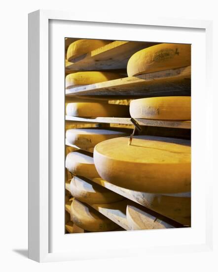 Comte Cheeses with Cheese Tester in Fort de Rousse Cheese Cellar-Joerg Lehmann-Framed Photographic Print