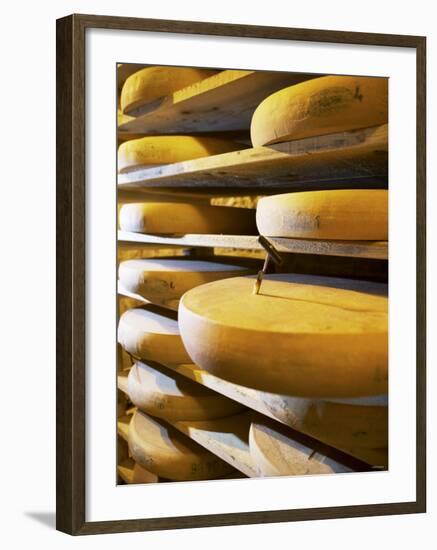 Comte Cheeses with Cheese Tester in Fort de Rousse Cheese Cellar-Joerg Lehmann-Framed Photographic Print