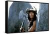 CONAN THE BARBARIAN, 1982 directed by JOHN MILIUS (photo)-null-Framed Stretched Canvas