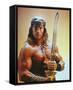 Conan the Barbarian-null-Framed Stretched Canvas