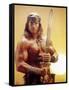 Conan the Destroyer, Arnold Schwarzenegger, by Richard Fleischer with, 1984-null-Framed Stretched Canvas