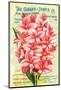 Conard & Jones 1898 Pink Canna-null-Mounted Art Print