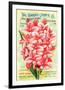 Conard & Jones 1898 Pink Canna-null-Framed Art Print