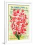 Conard & Jones 1898 Pink Canna-null-Framed Art Print