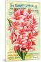 Conard & Jones 1898 Pink Canna-null-Mounted Art Print