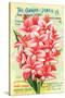 Conard & Jones 1898 Pink Canna-null-Stretched Canvas