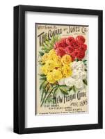 Conard & Jones West Grove PA-null-Framed Art Print